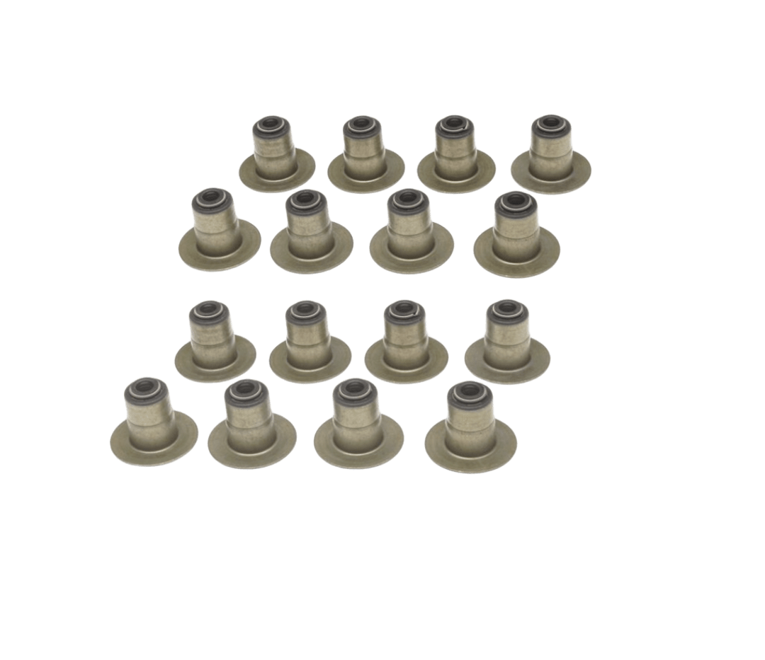 طقم جلد بلوف تشارجر.كرايسلر.تشالنجر.قراندشروكي.رام (5.7),(6.1) (16) حبة